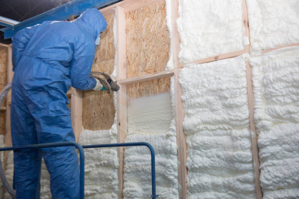 Best Insulation Replacement  in USA